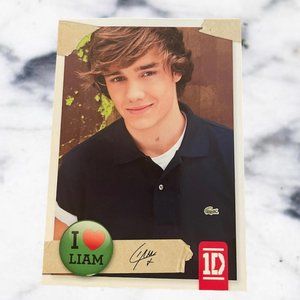 COPY - Liam Payne One Direction Official Trading Card #13 Panini Brand 2013